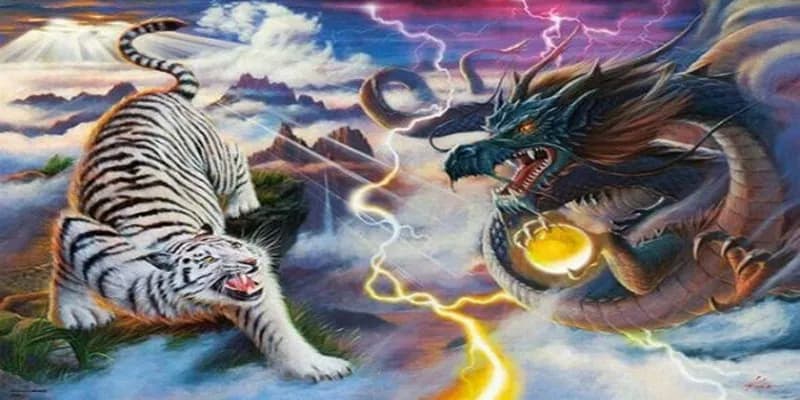 Bài rồng hổ là gì?